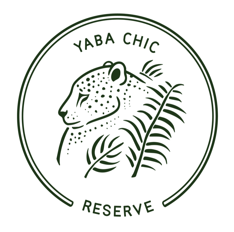 Yaba Chic Wildlife Conservation